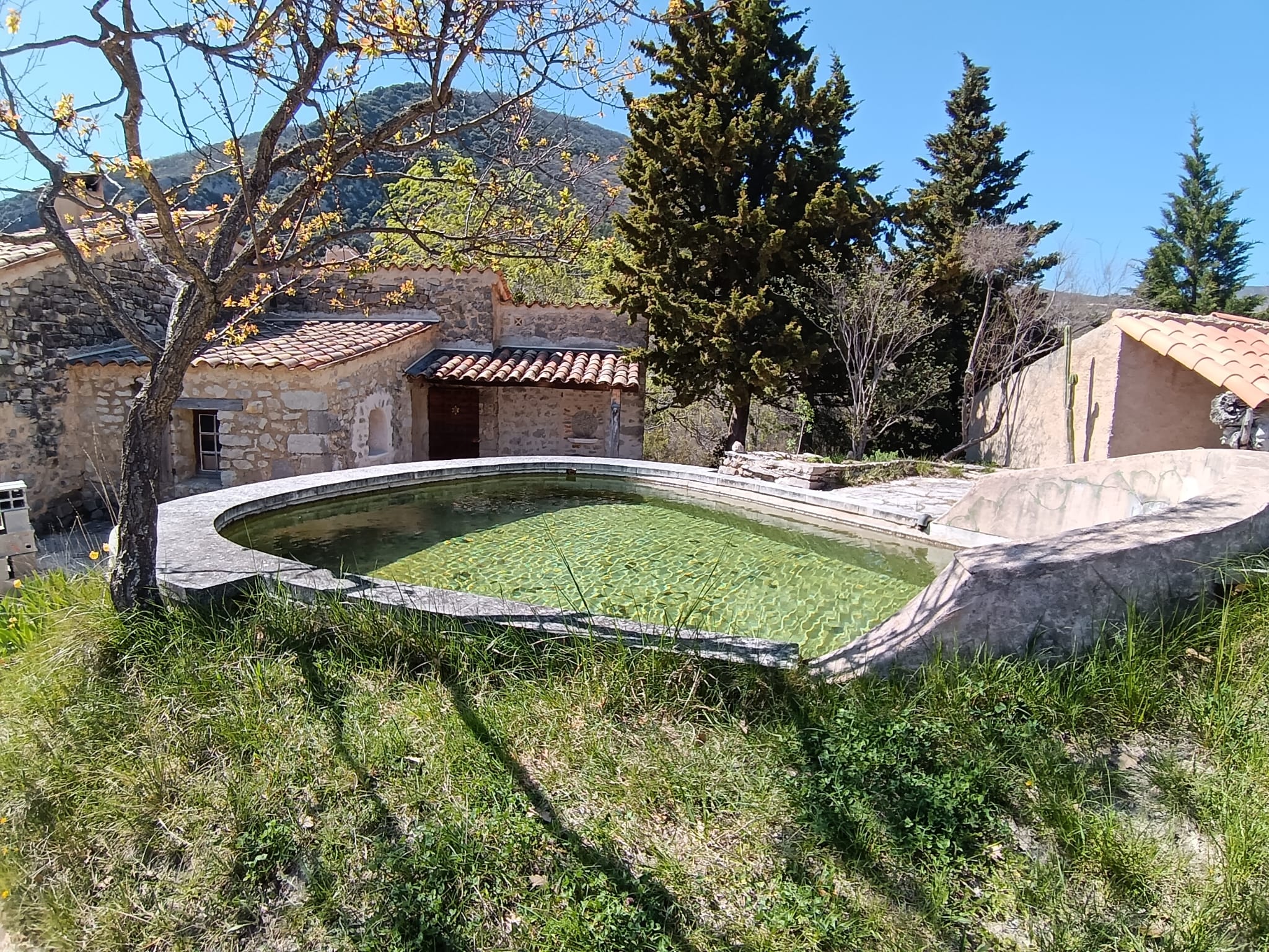 WhatsApp Ima 2026 04 09 at 19.03.00