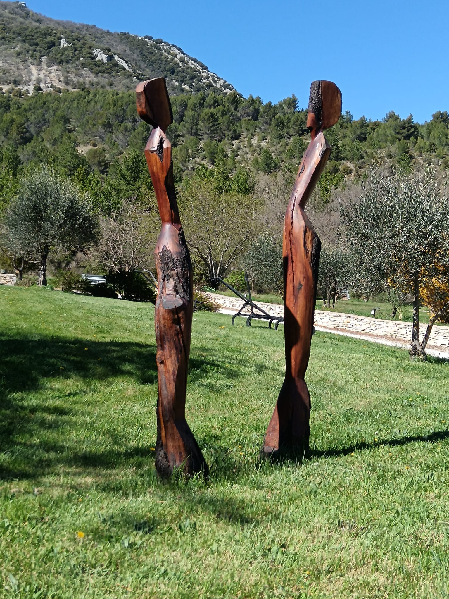 WhatsApp Imagat 19.03.00