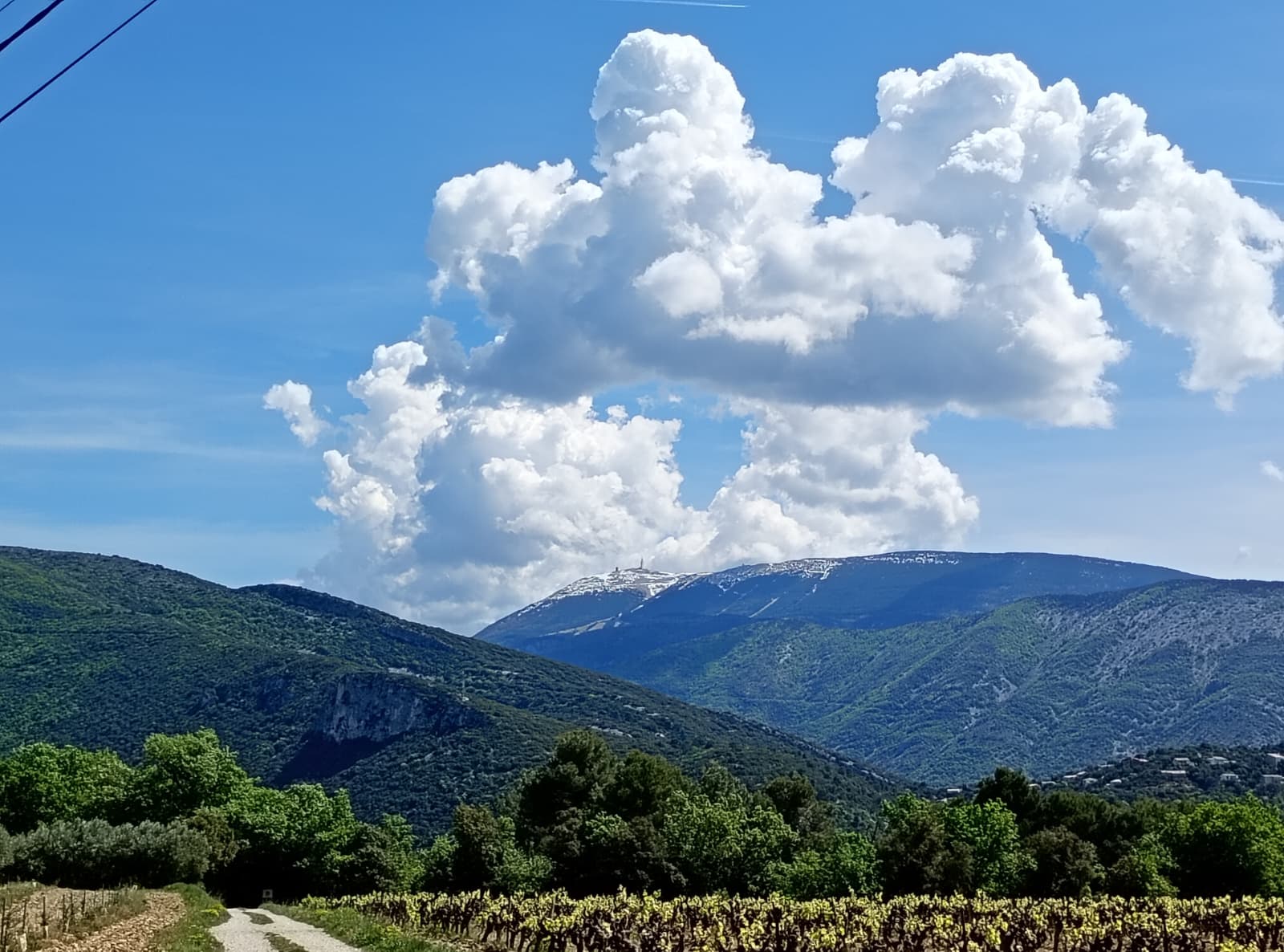 WhatsApp Image 2026 04 19