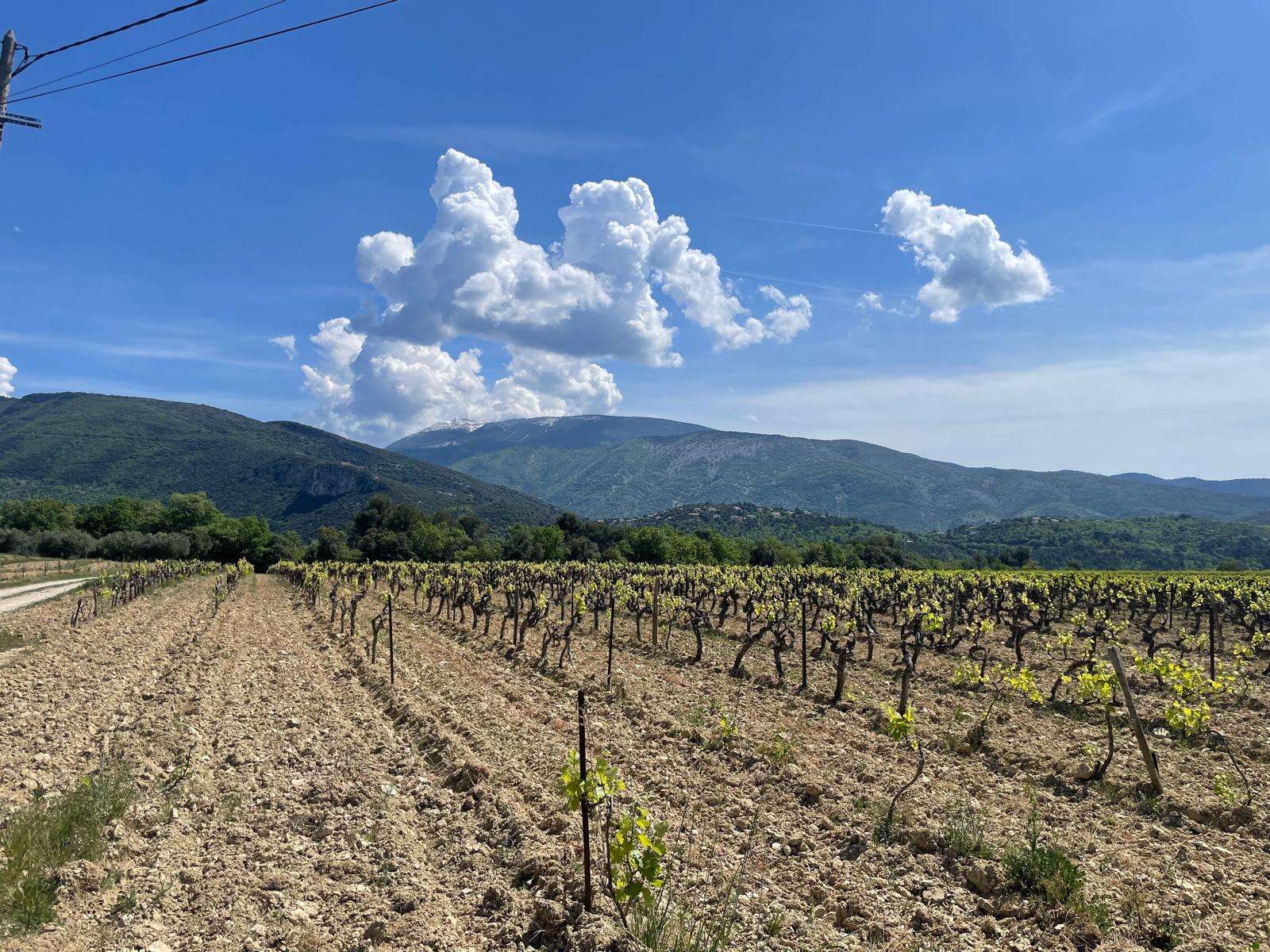 WhatsApp Image 2026 04 19 a18.36