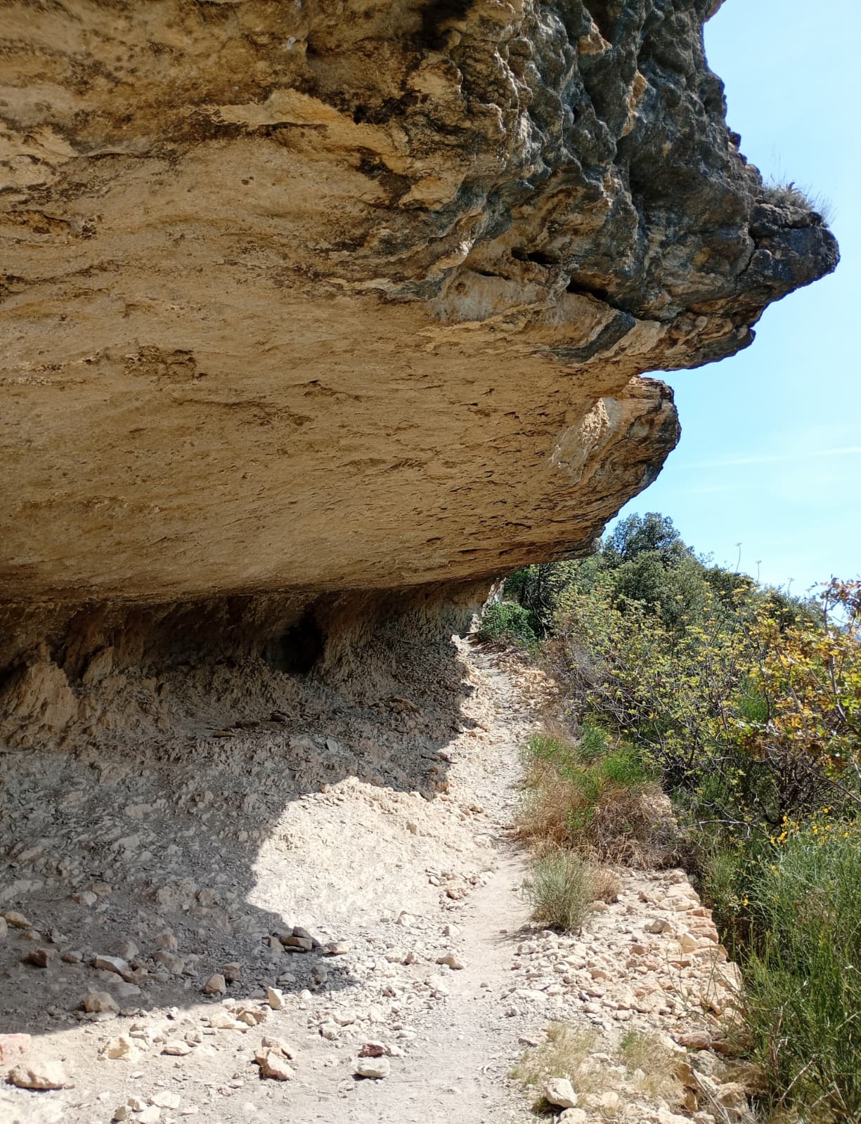 WhatsApp Image 2026 04 19 at 19.30.37