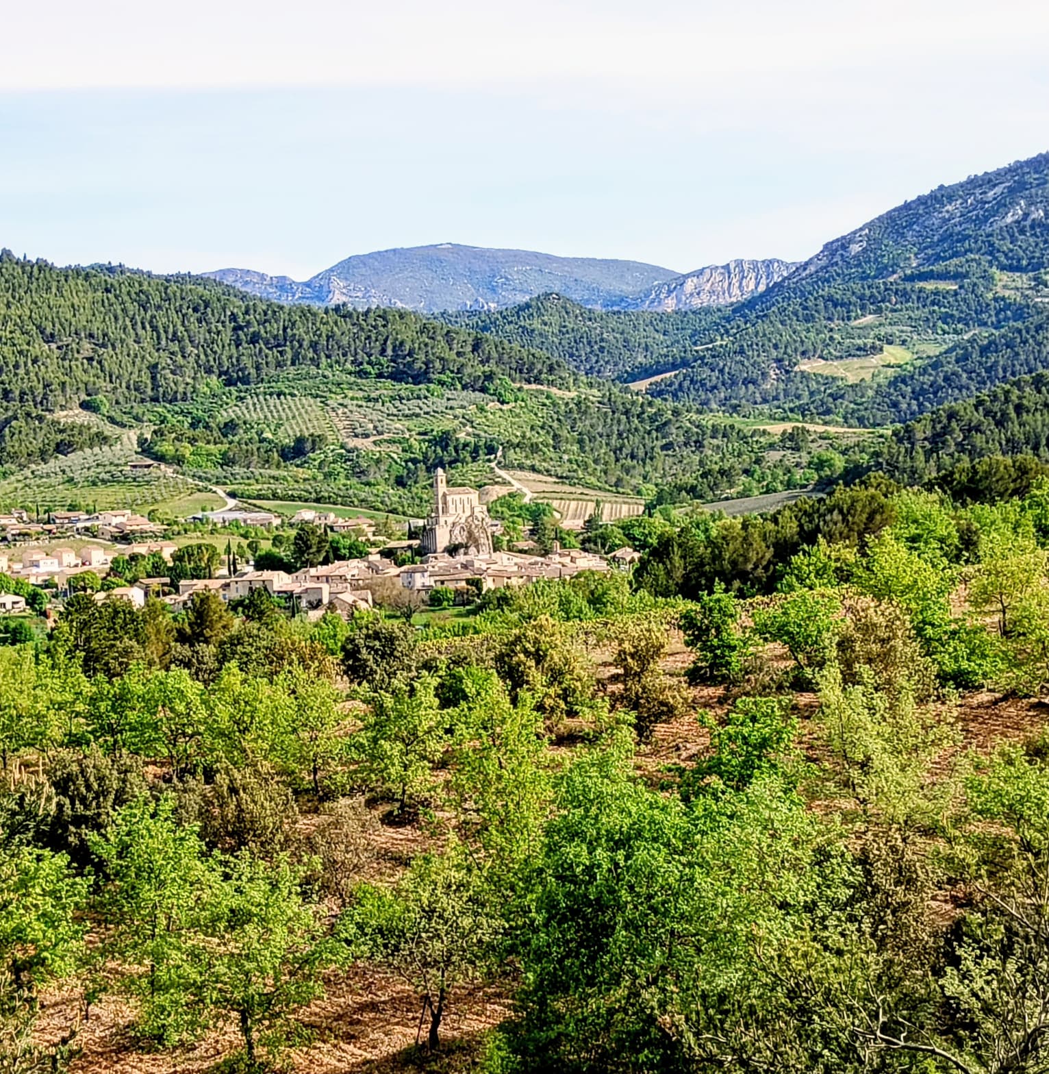 WhatsApp Image at 19.30.38