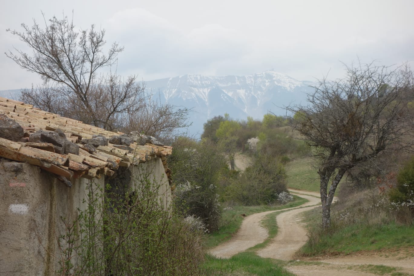 WhatsApp Image 2026 04 12 at 19.11.17