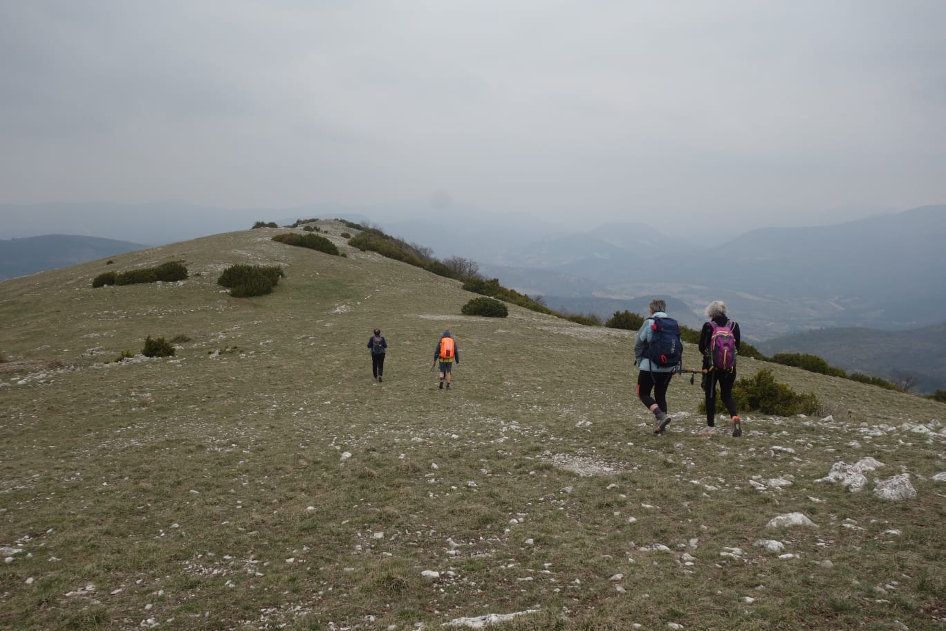 WhatsApp Image 2026 04 at 19.09.40