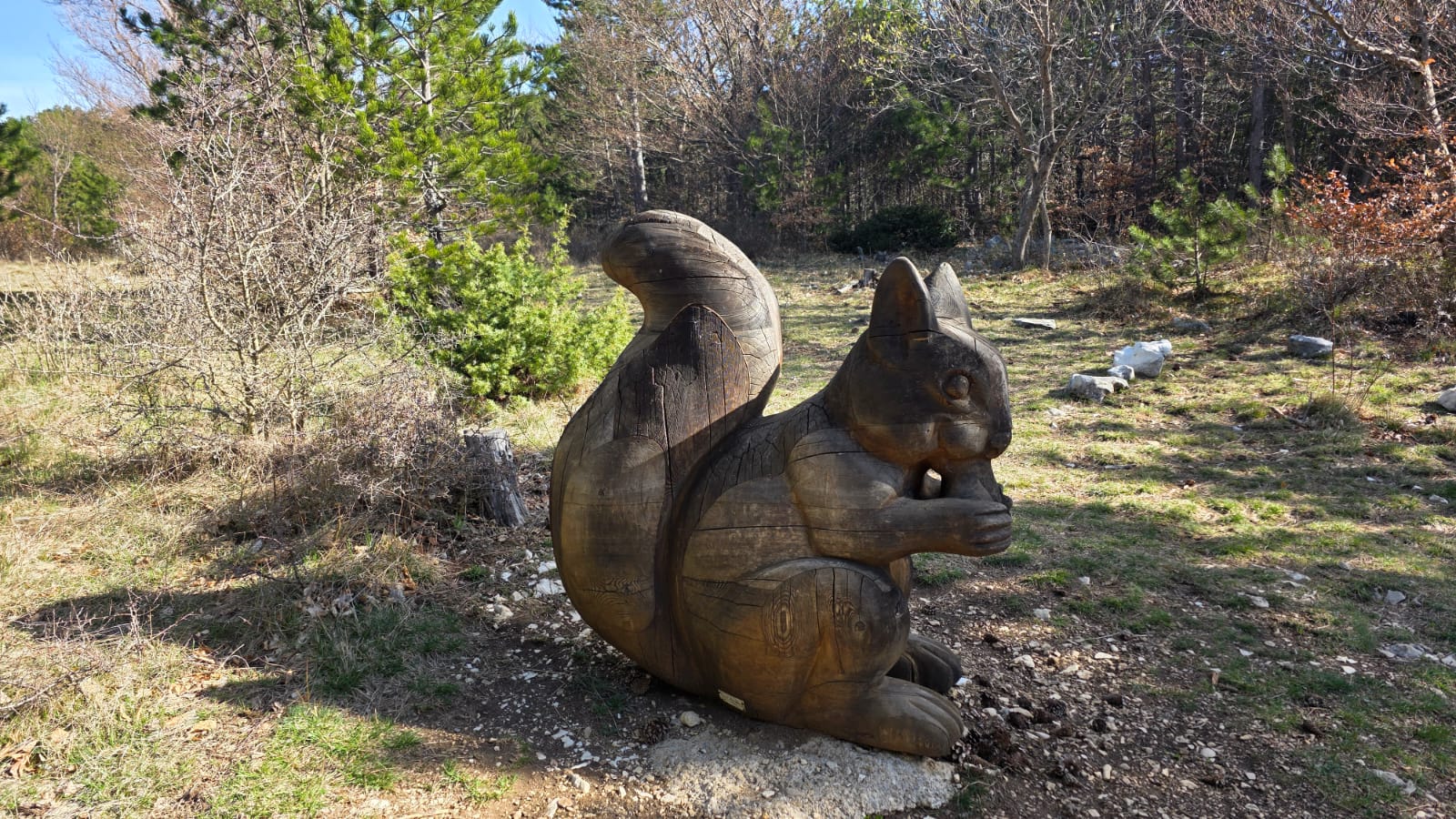 WhatsApp Image 2026 04 10 at 13.24.28