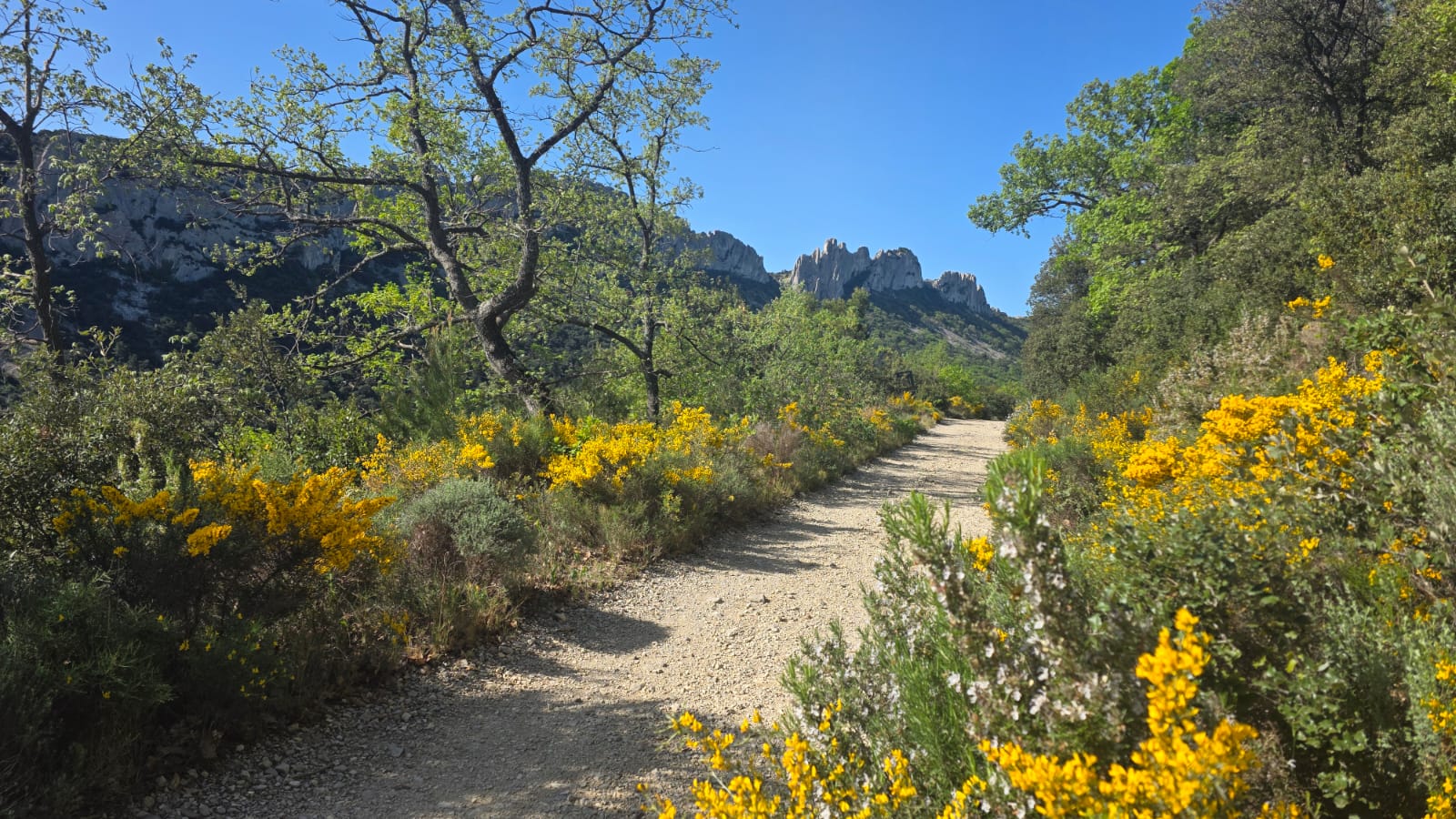 WhatsApp Image 2026 04 14 at 13.14.43