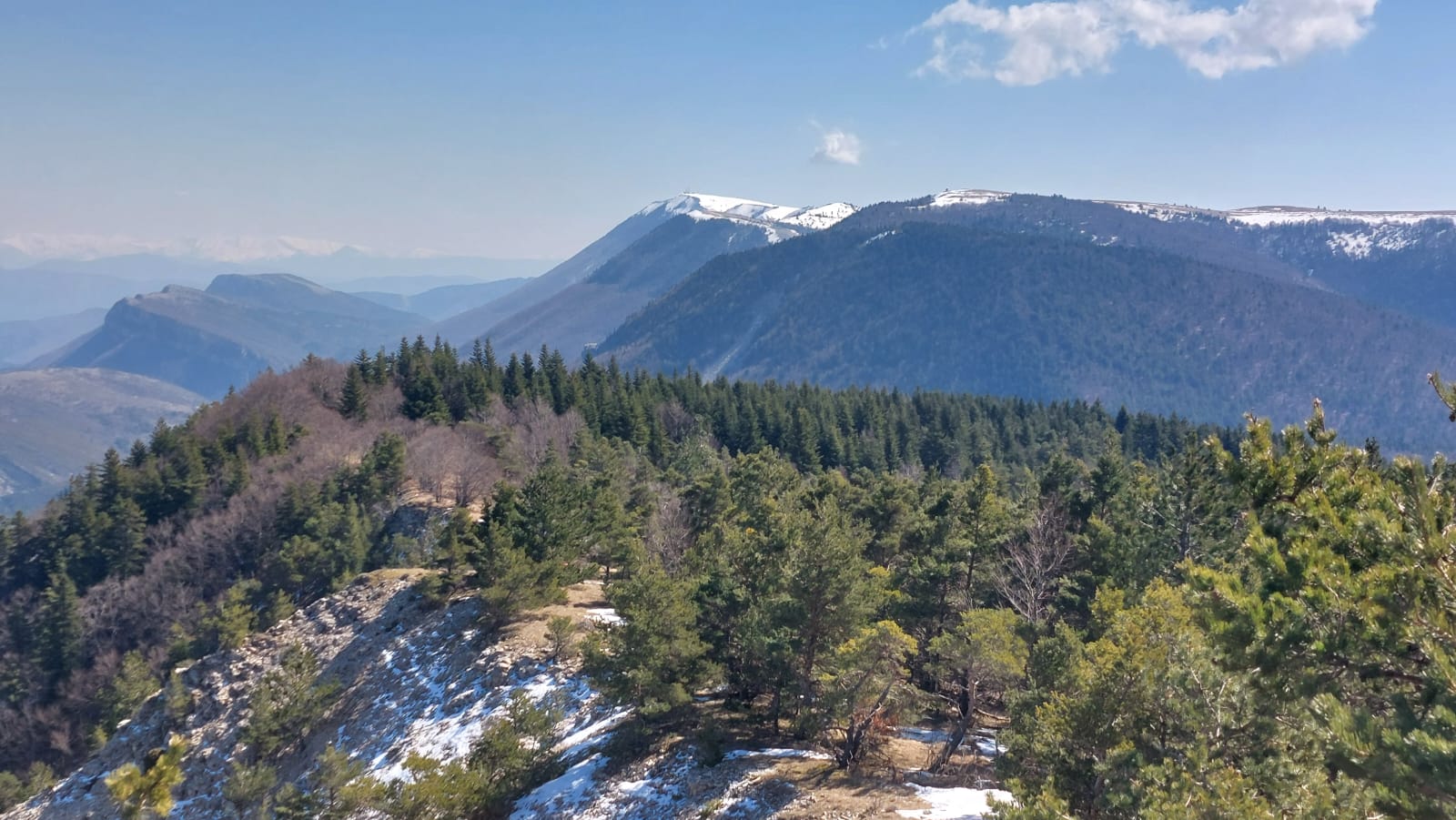 Whate 2026 03 19 at 19.01.29