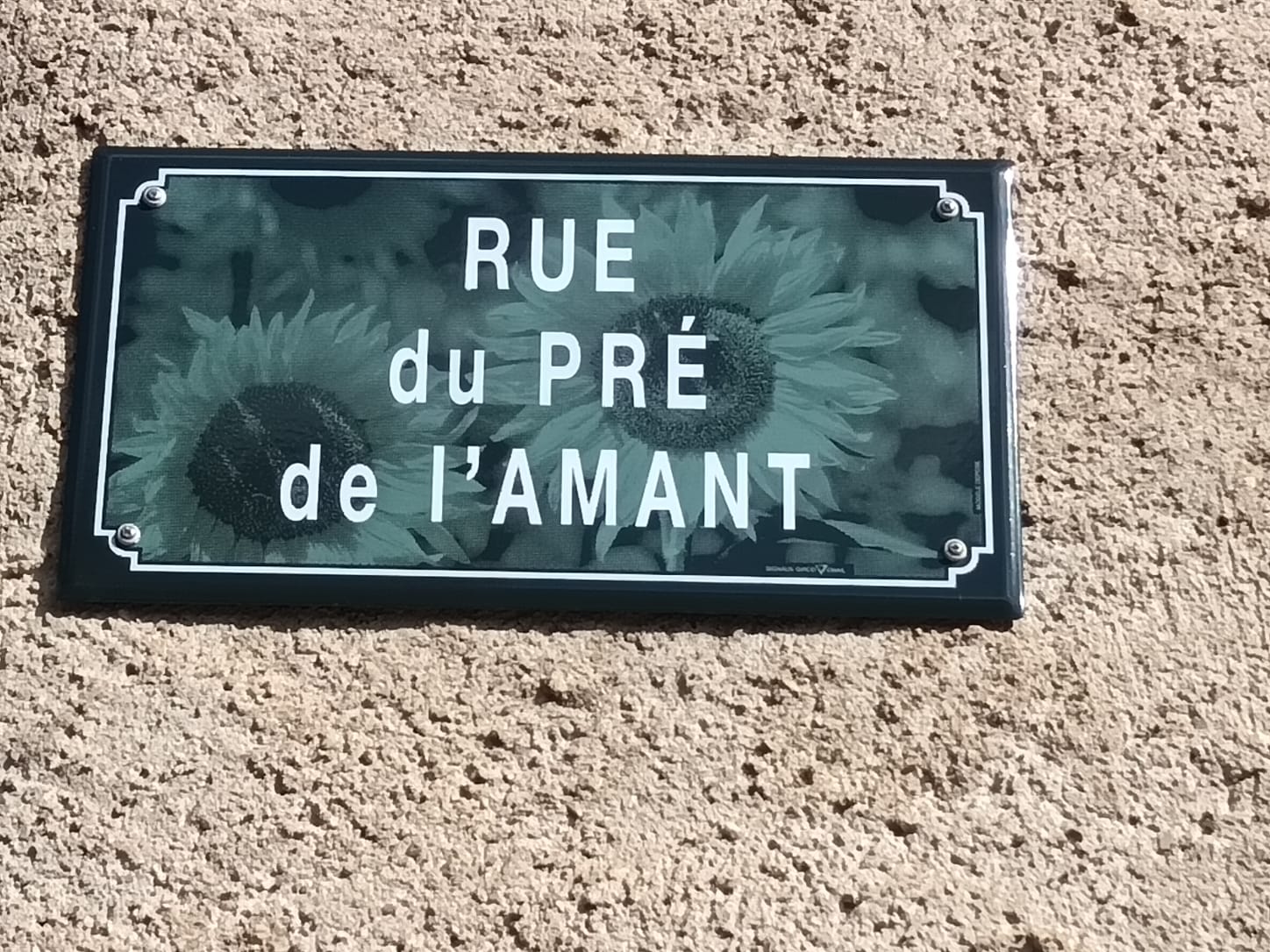 WhatsApp Im026 03 19 at 19.02.11