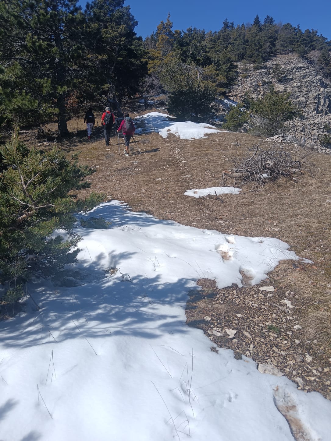 WhatsApp Image 2026 03 19 at 19.02.08