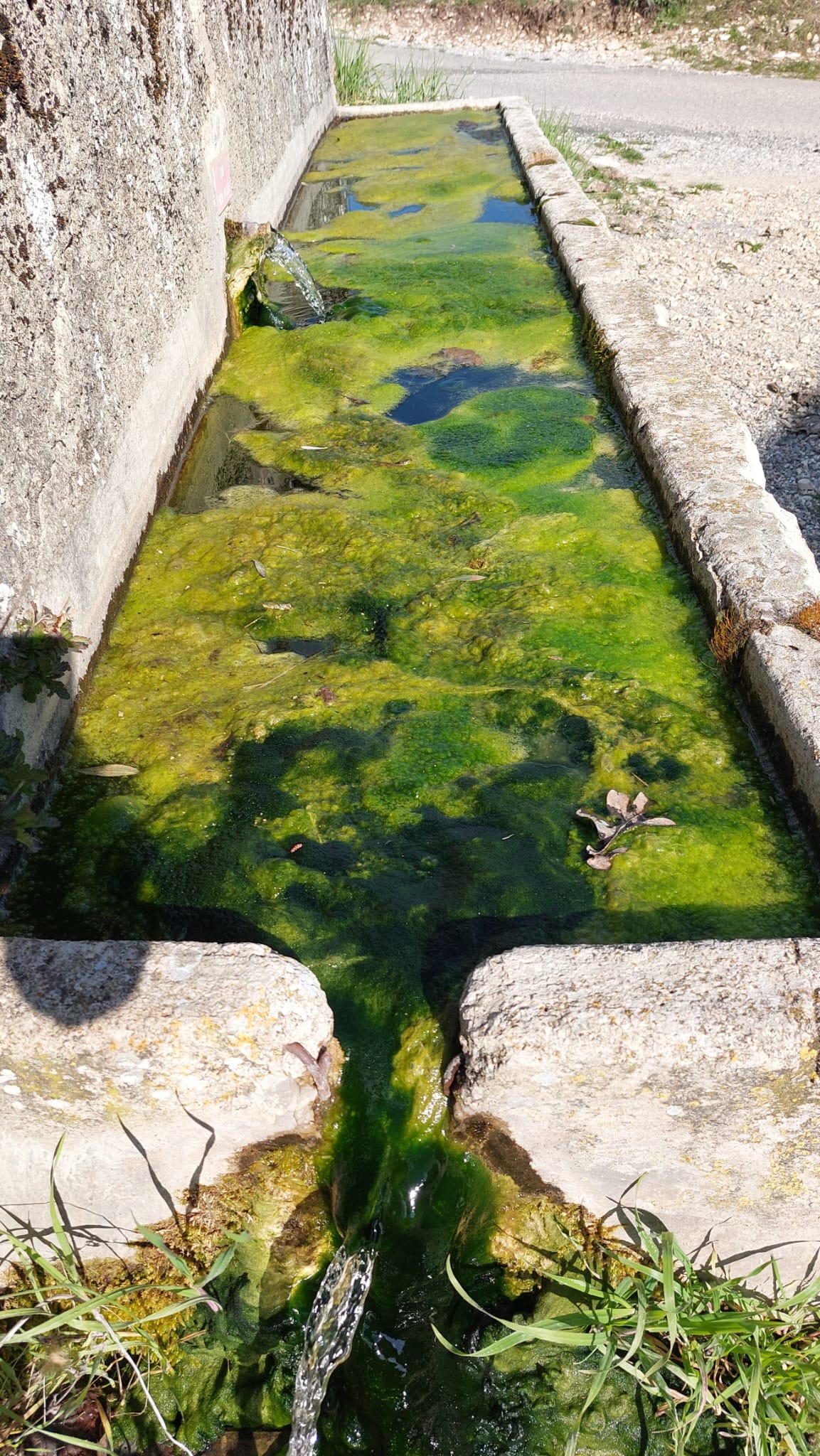 WhatsApp Image 2026 0319 at 19.01.28