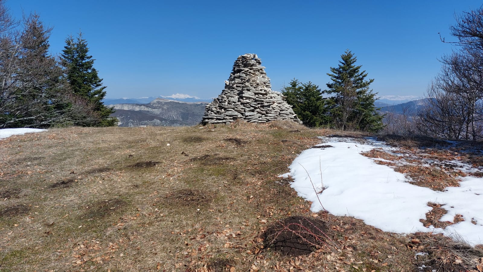 WhatsApp Imageat 19.01.29