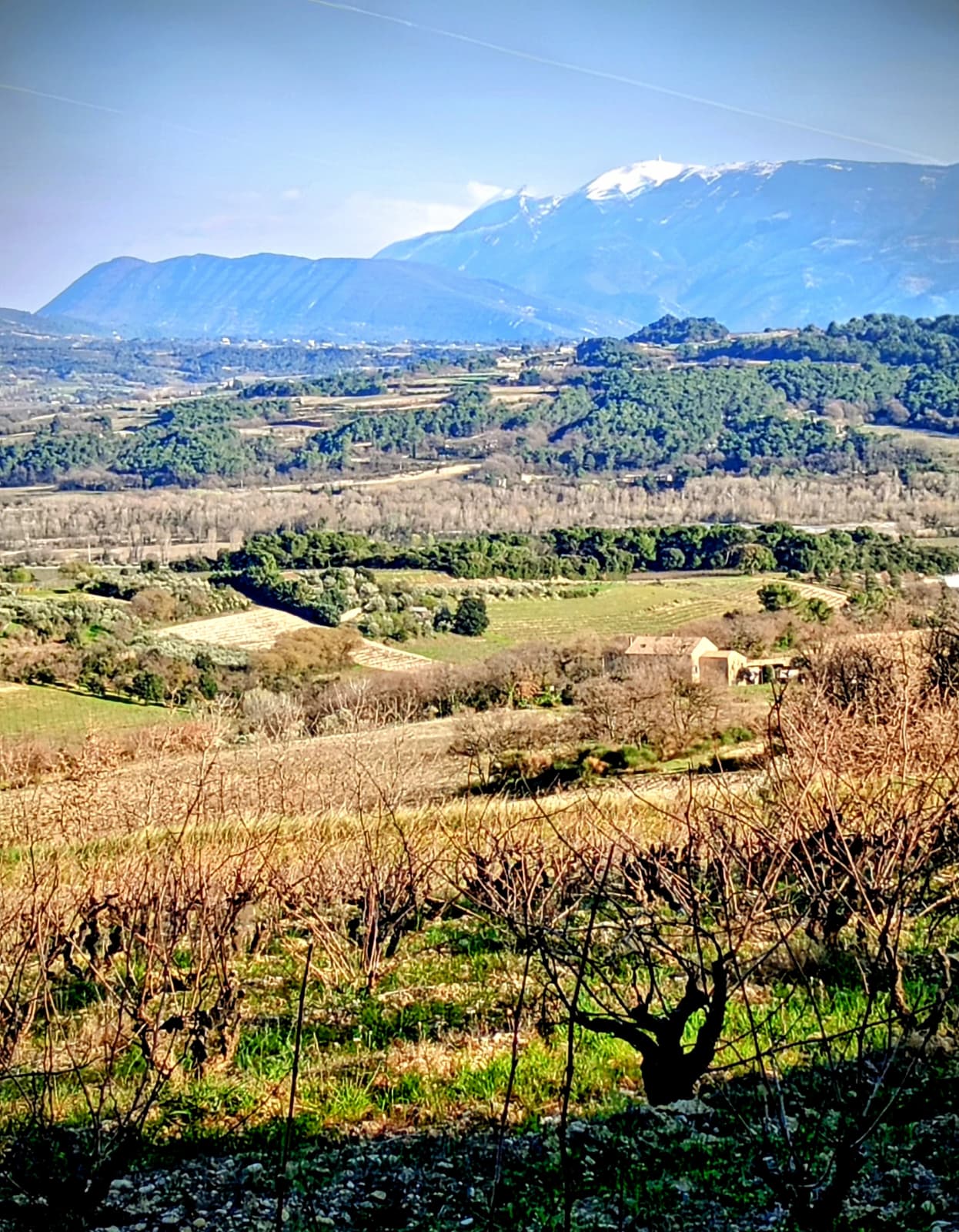 WhatsApp Image 026 03 19 at 19.29.14