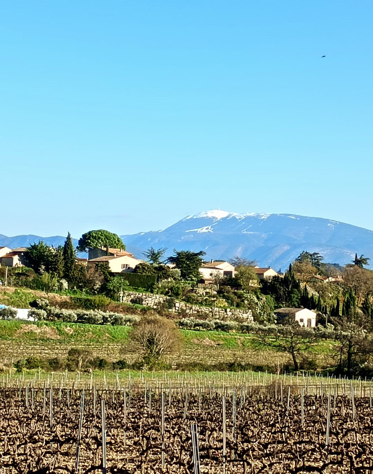 WhatsApp Image 2026 03 12 at 18.55.29