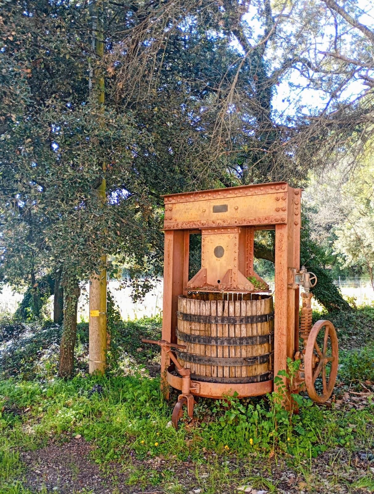 WhatsApp Image 2026 03 19 at 19.215