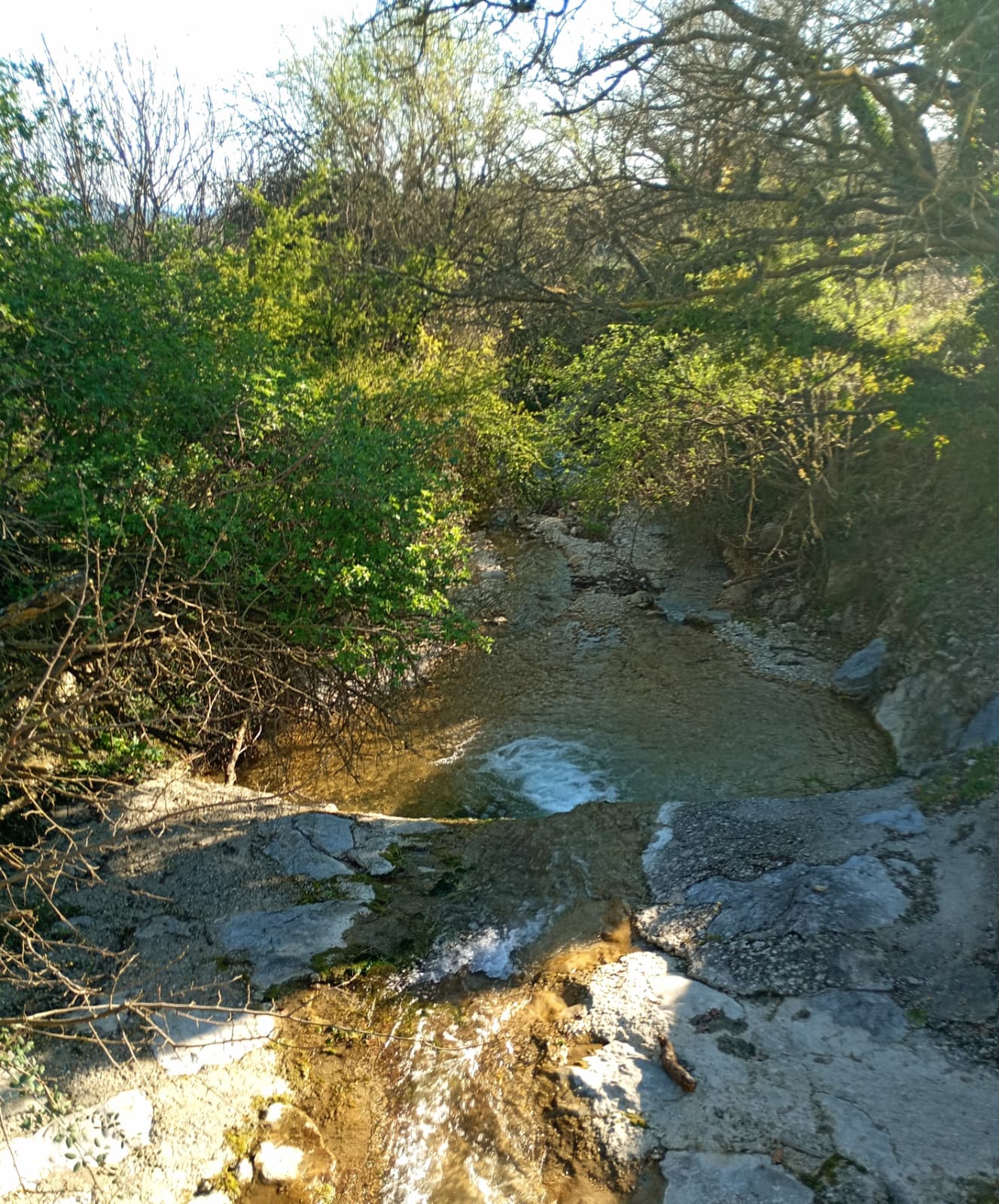 WhatsApp Image 2026 03 19 at 19.29.14