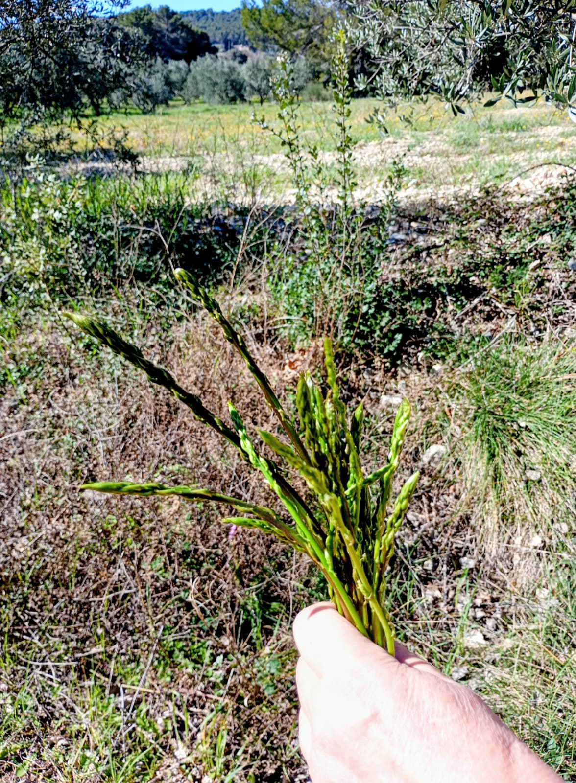 WhatsApp Image 2026 03 19 t 19.29.15