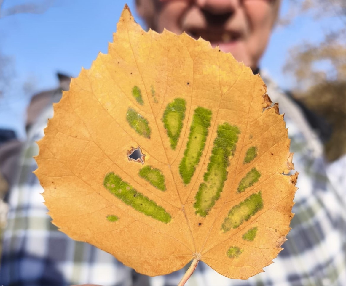 WhatsApp Image 2025 11 24 at 15.10.06