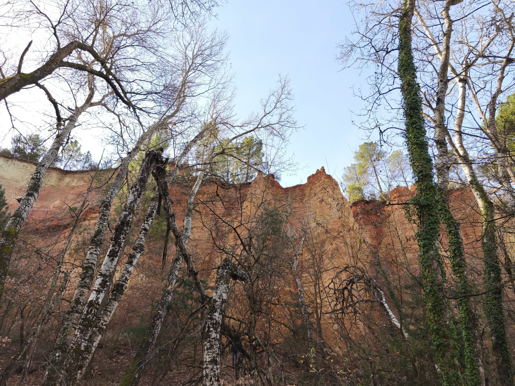 WhatsApp Image 2025 11 24 at 15.10.14