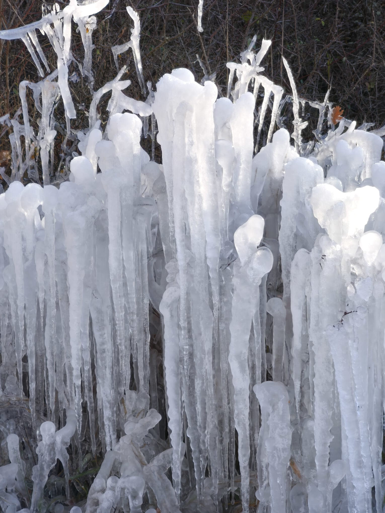 WhatsApp Image 2025 11 24 at 15.11.37 1