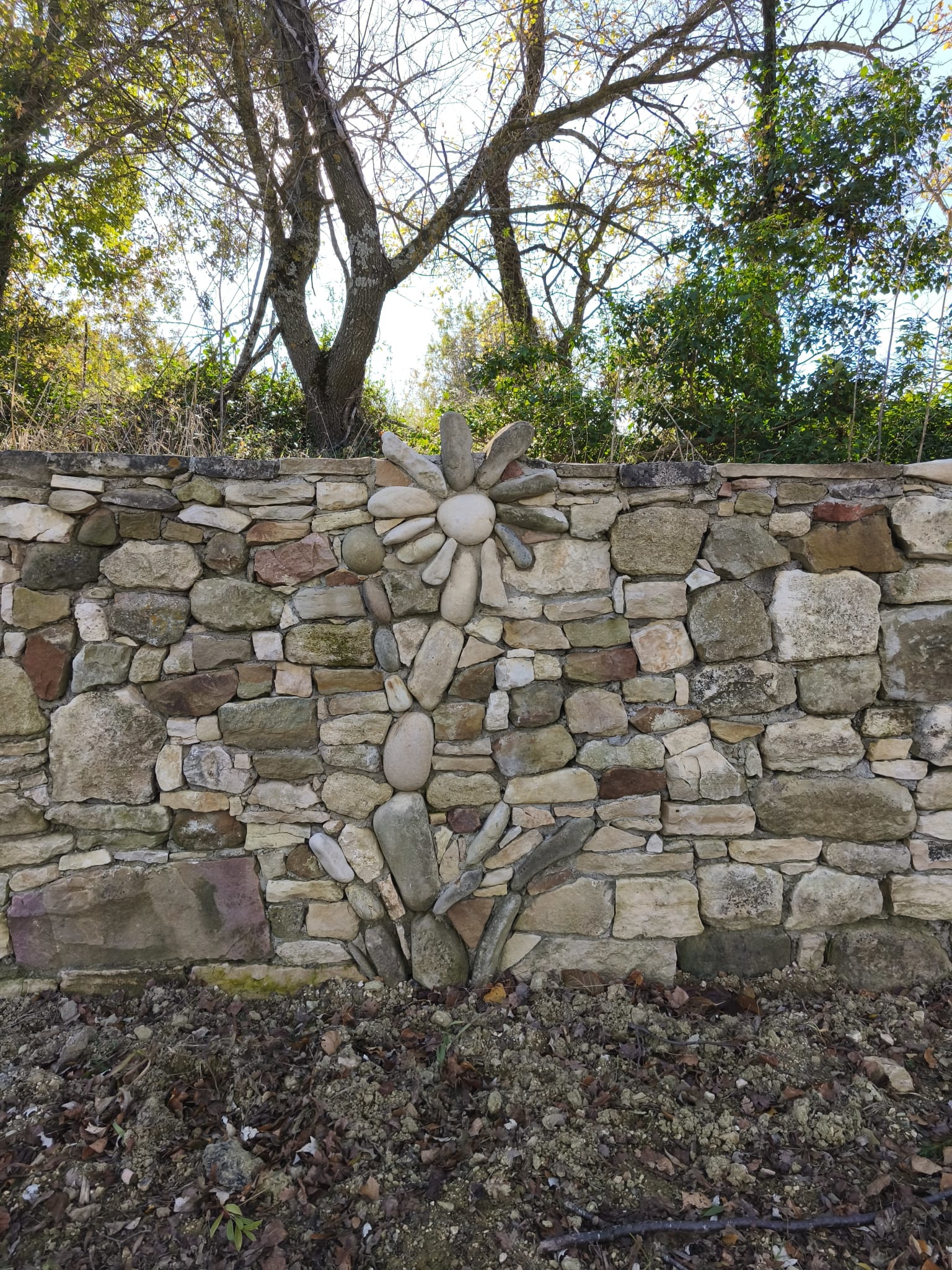 WhatsApp Image 2025 11 24 at 15.11.39