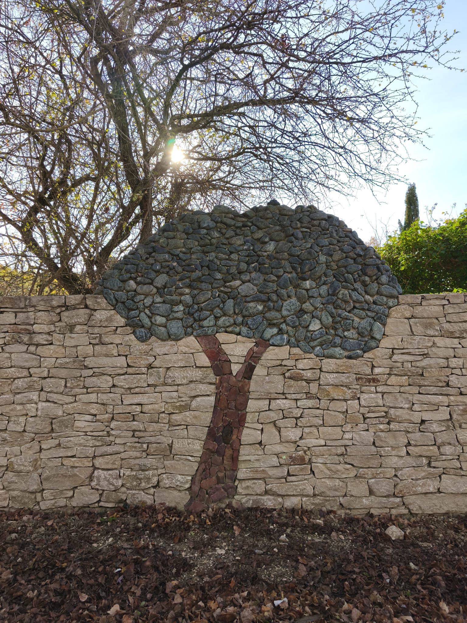 WhatsApp Image 2025 11 24 at 15.11.47