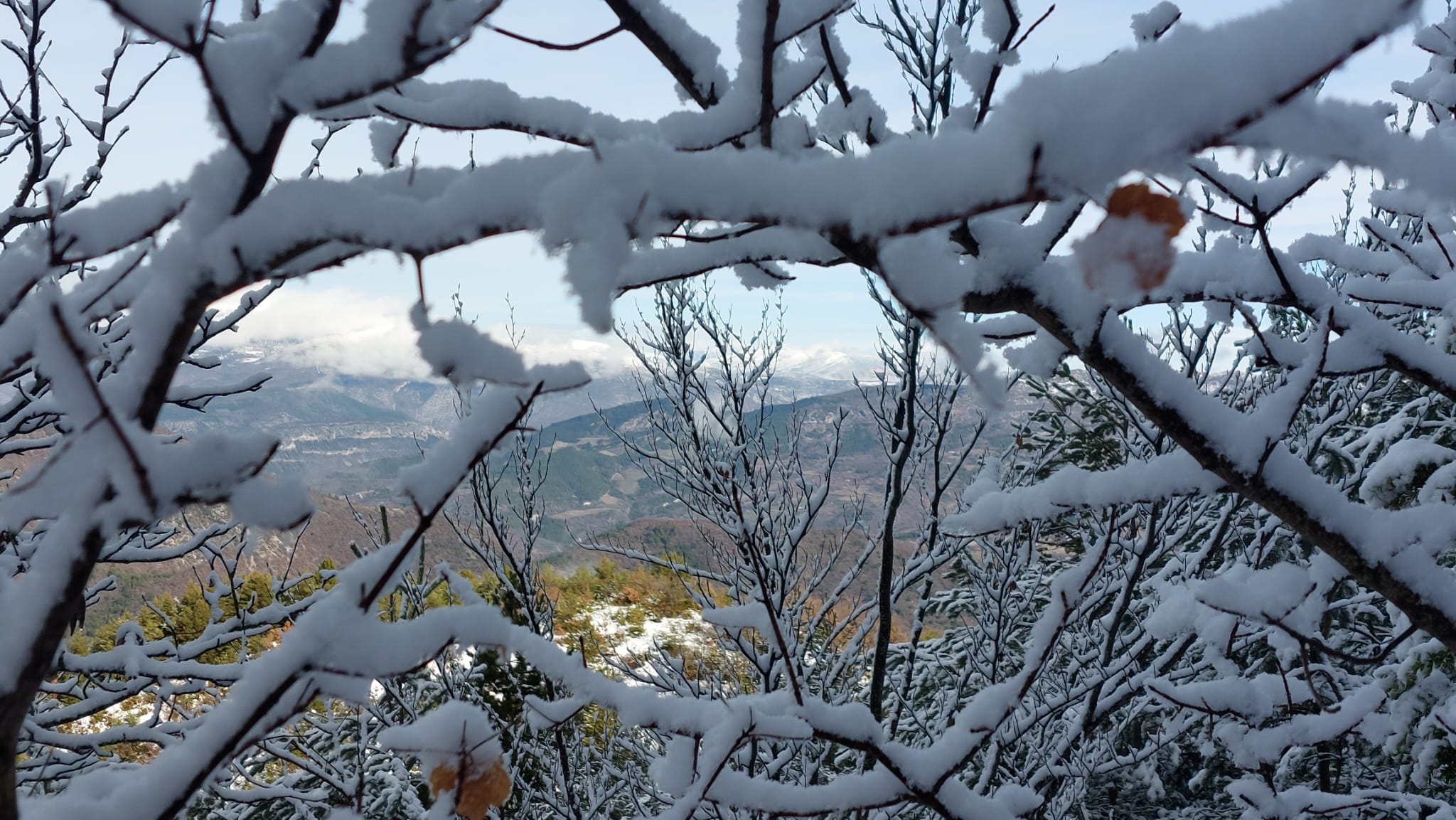 Whats26 01 25 at 19.17.08