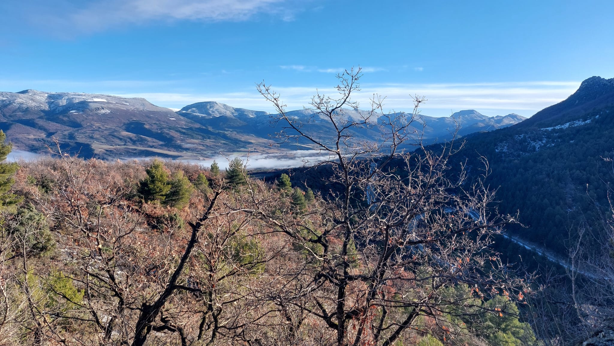 WhatsApp Ima 19.17.18