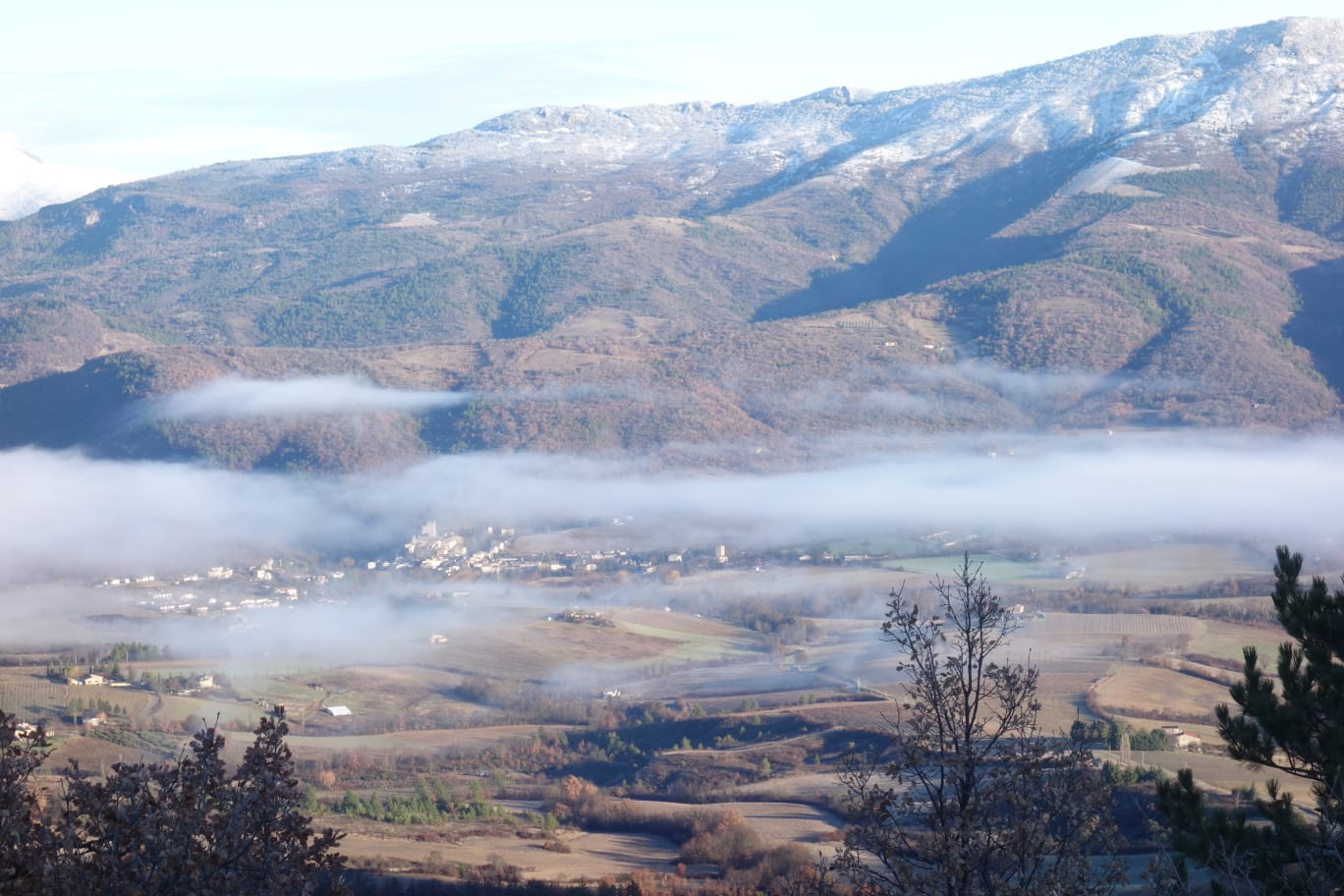 WhatsApp Image 2026 01 25 at 18.13.55