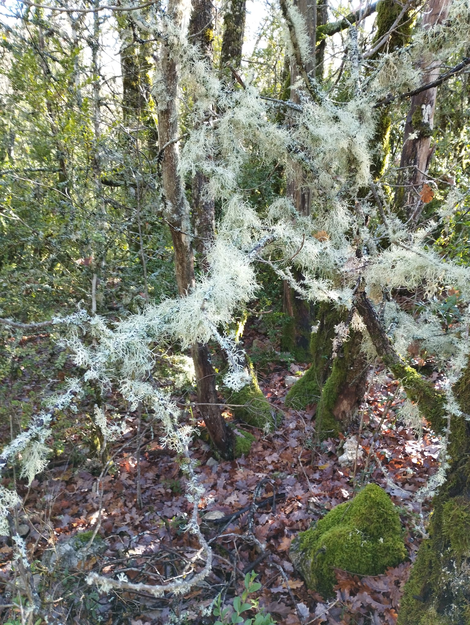 WhatsApp Image 2025 11 2225 at 16.50.25