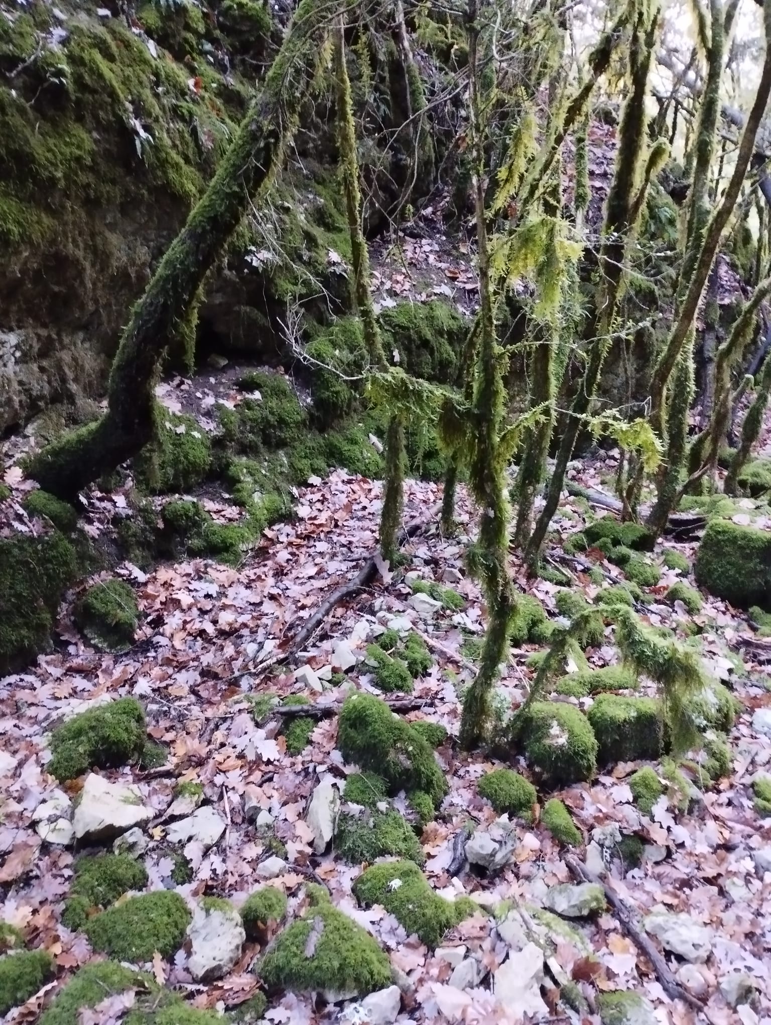 WhatsApp Image 2025 11 252 at 16.50.25