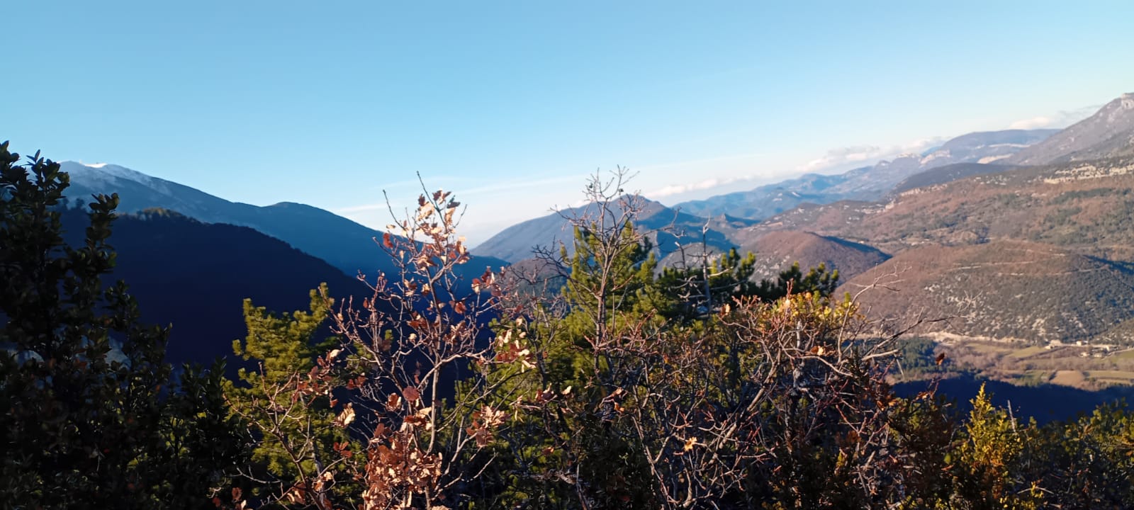 WhatsApp Image 2025 11 27 at 15.3s7.28