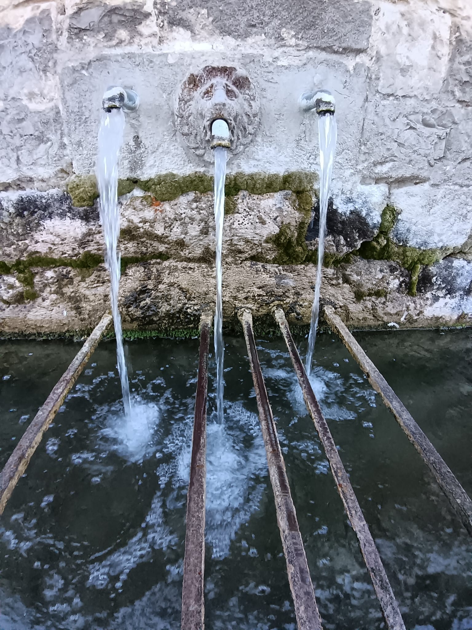 WhatsApp Image 2025 11 27 at 17.39.16