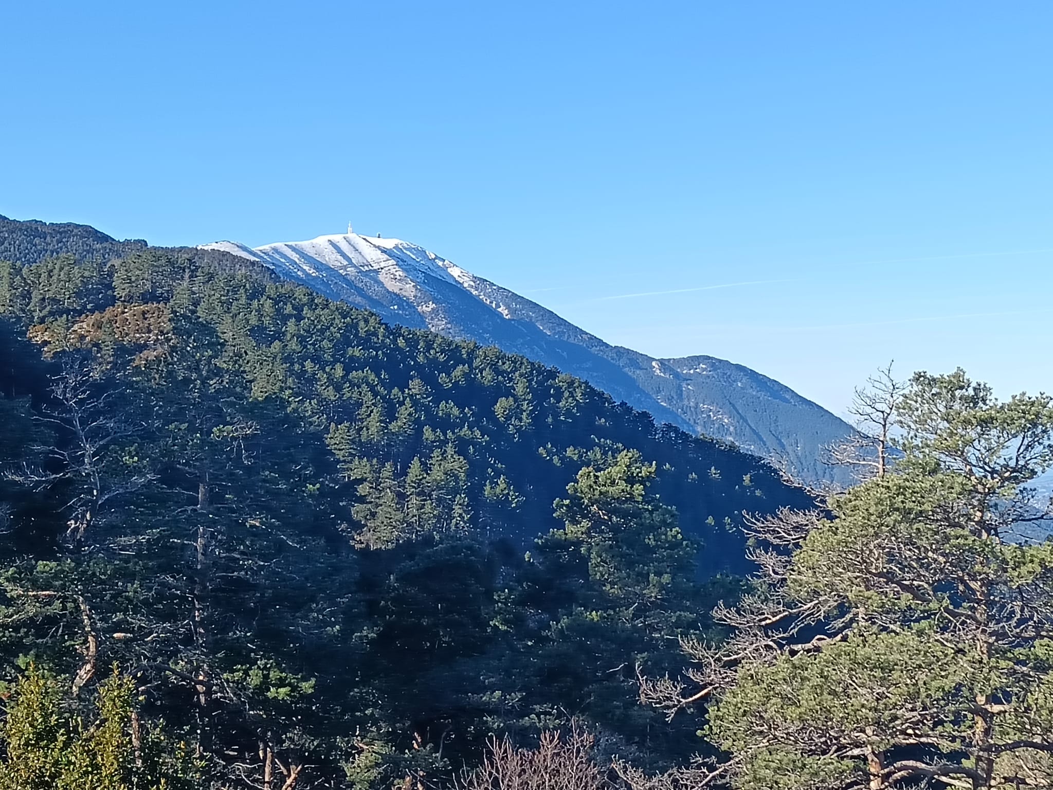 WhatsApp Image 2025 11 27 at 17aaaa.39.24