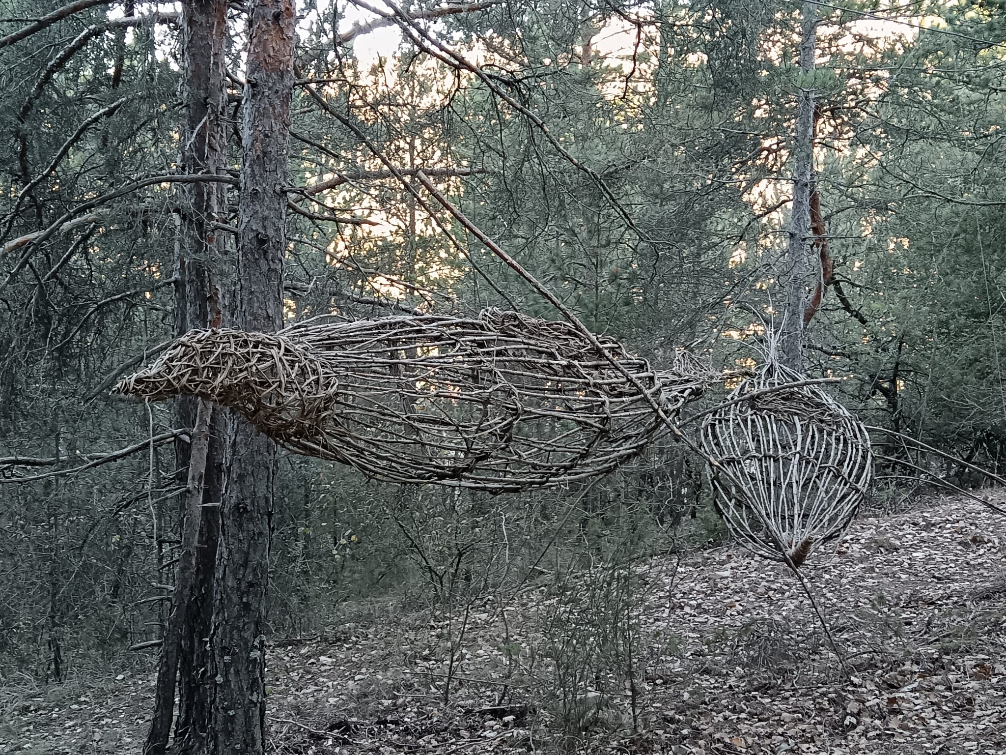 WhatsApp Image 2025 11 aaaaaa27 at 17.39.24