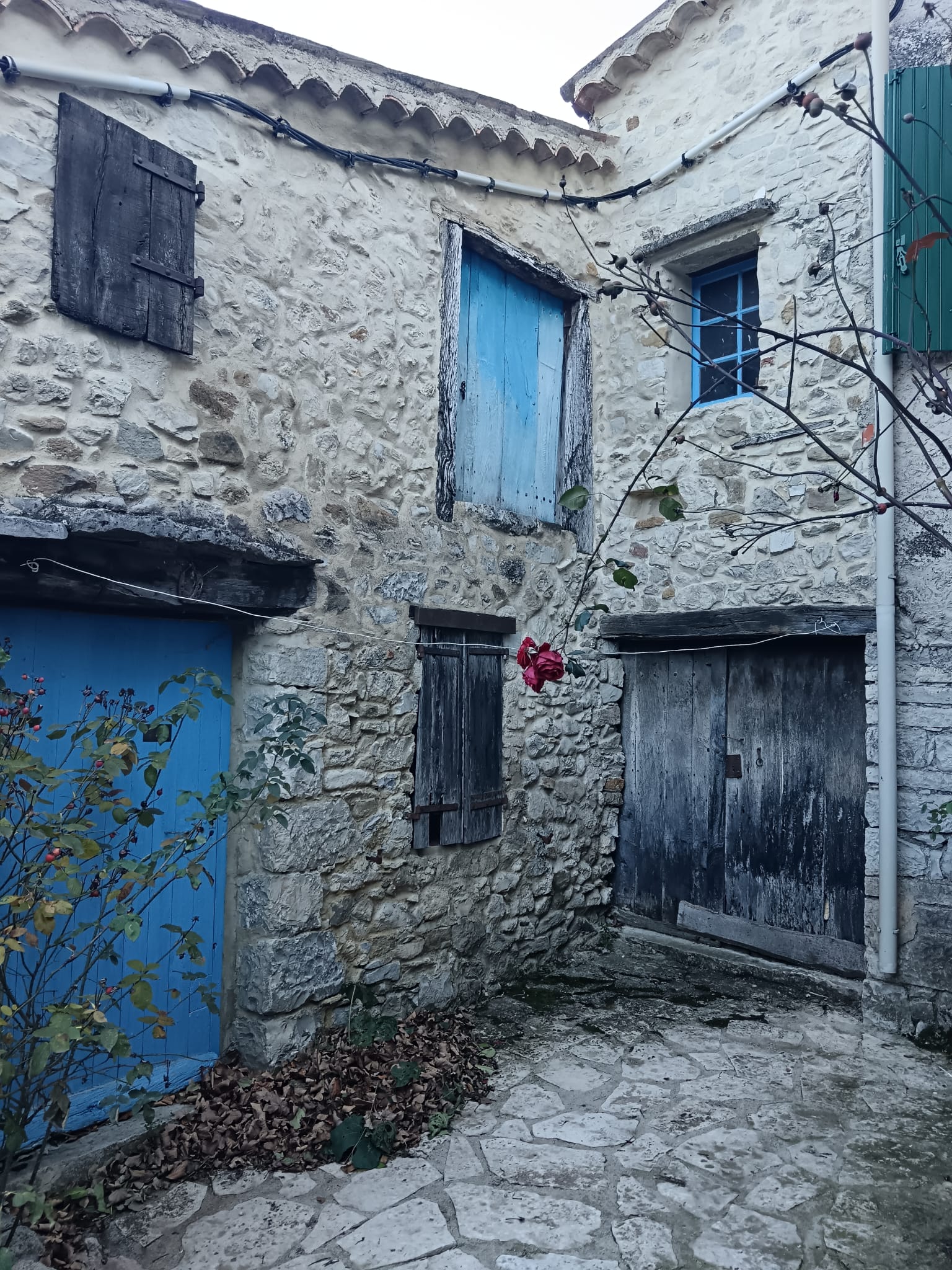 WhatsApp Imagzzzzzzze 2025 11 27 at 17.39.23