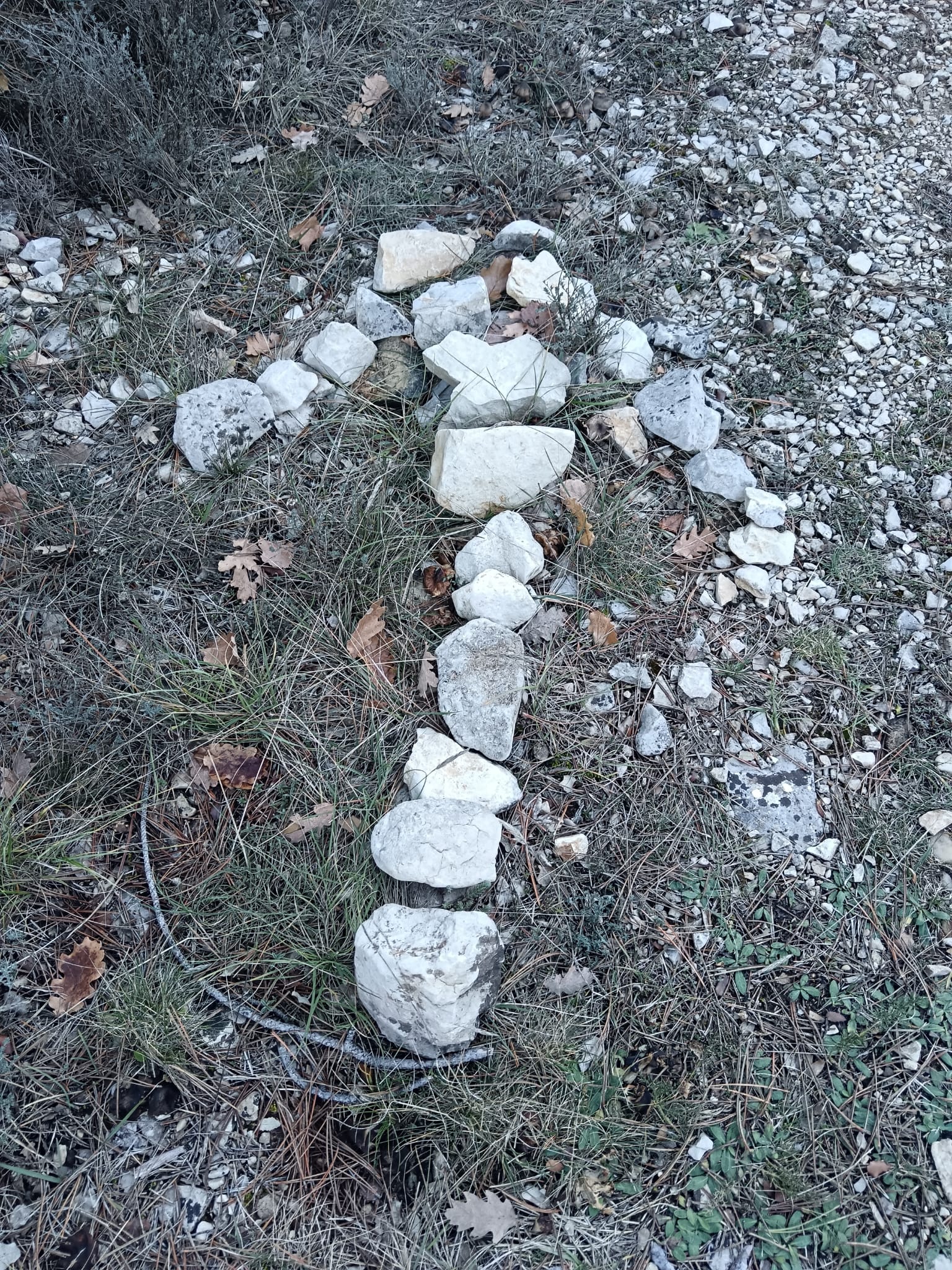 WhatsApp Imazzzzzzge 2025 11 27 at 17.39.23