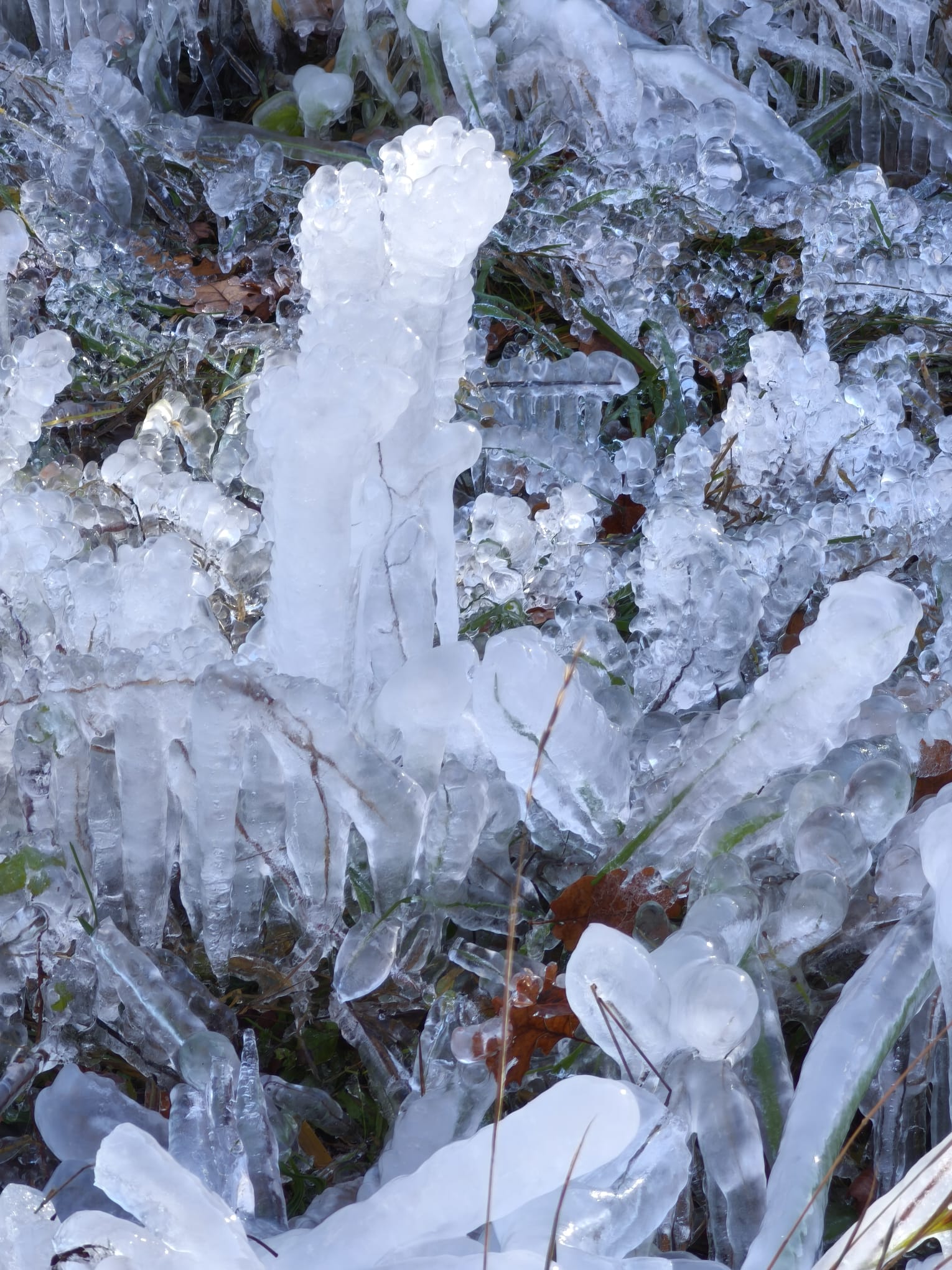 WhatsApp Image 2025 11 24 at 15.11.22