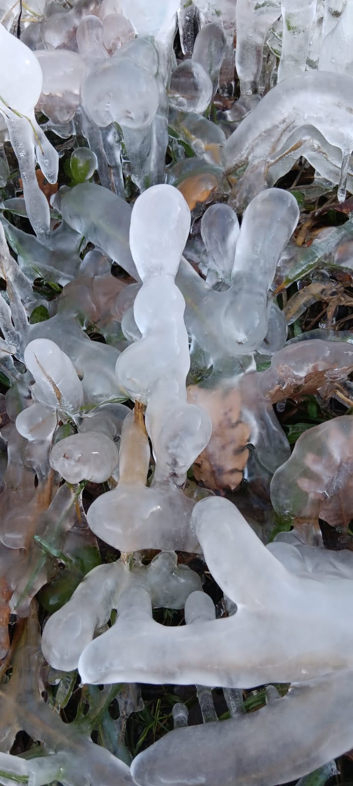 WhatsApp Image 2025 11 29 at 16.59.58