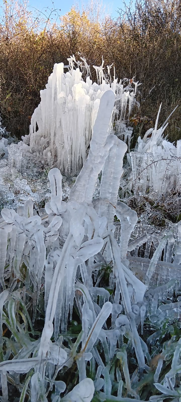 WhatsApp Image 2025 11 29 at 16.59éééé.58